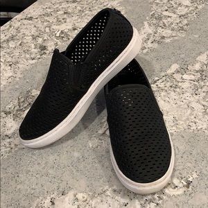 Steve Madden “Elouise Fashion” Sneaker